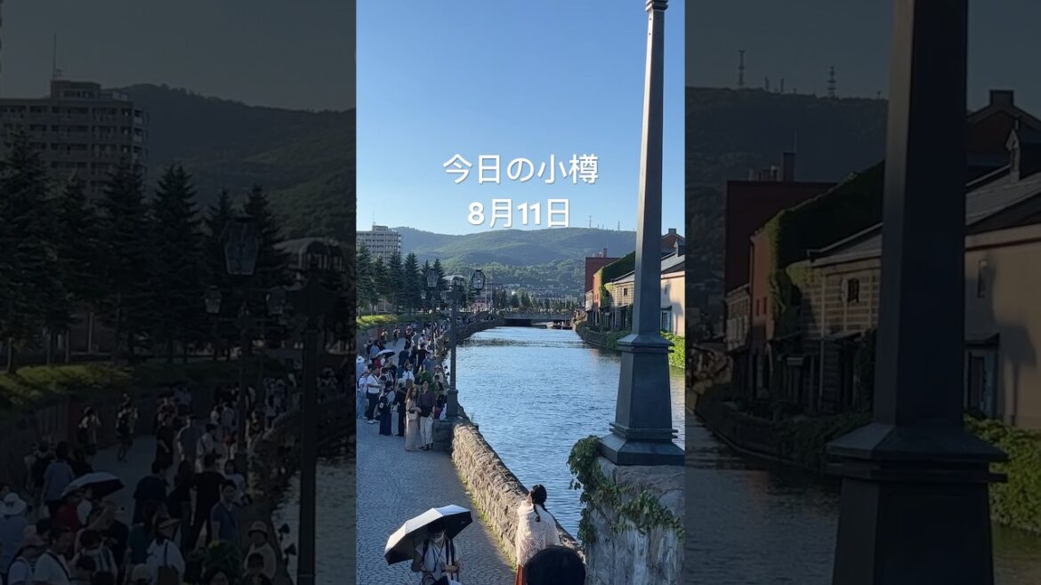28℃、秋の空に変わりつつあるような😅　最高の小樽🍺日和😋　#小樽