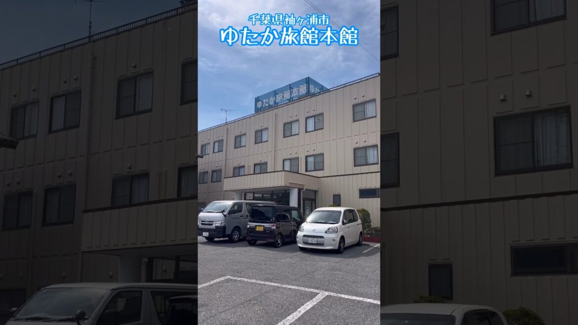 千葉県袖ヶ浦市にある『ゆたか旅館本館』は、お仕事/レジャーなどの疲れを癒す自慢の大浴場（男性用）完備していて、洗濯機6台は無料で使えて、乾燥機は1時間100円と安い宿 / Chiba Trip