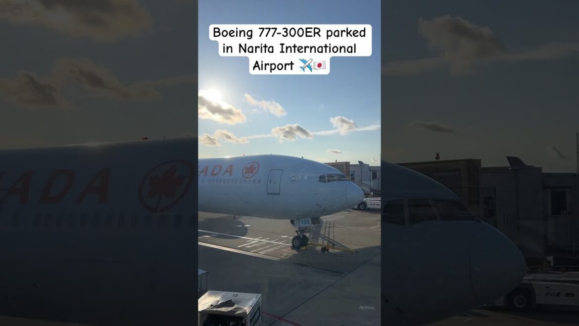 A lot of big airplanes in japan 🇯🇵✈️😍 #explore #japan #boeing #travel #aviation