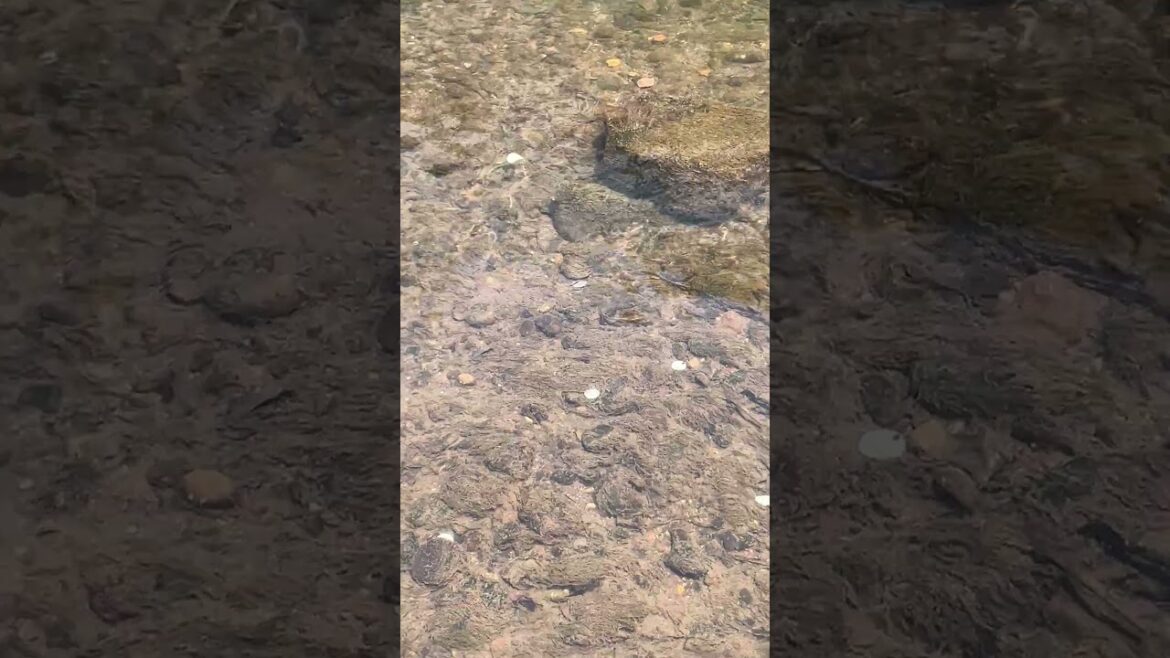 【函館】これわかる?偶然珍事件に遭遇!#Shorts 【函館】これわかる?偶然珍事件に遭遇!#Shorts