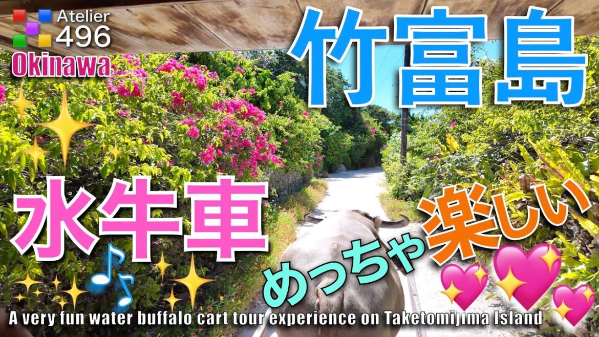 めっちゃ楽しい【竹富島の水牛車体験】沖縄観光 めっちゃ楽しい【竹富島の水牛車体験】沖縄観光