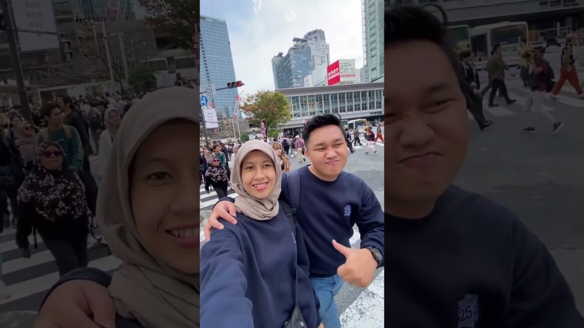 A kaleidoscope of dreamy destinations, and a year filled with enchanting travel with Howliday