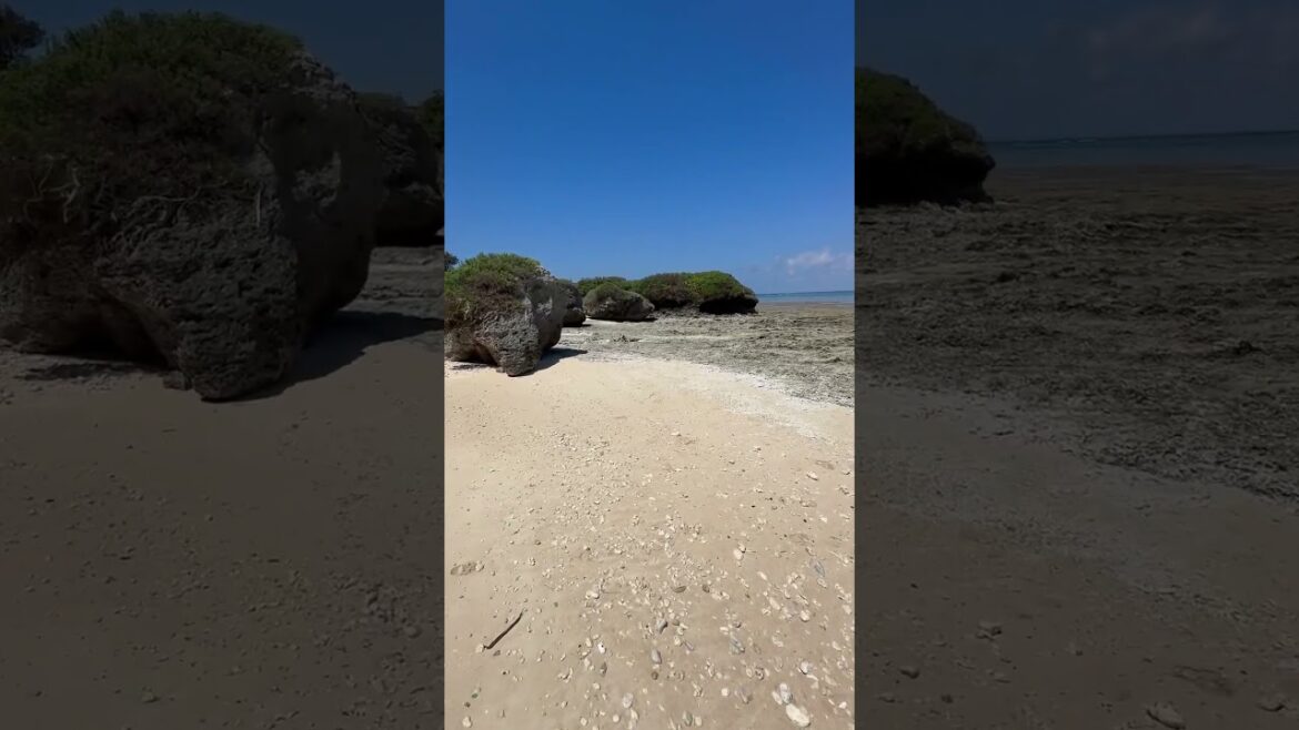 【1分散歩】沖縄県宮古郡多良間村 三ツ瀬(ミッジ)公園 #shorts