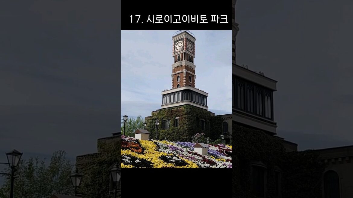 삿포로 여행 핵심 스팟 22곳🗼여기는 꼭! 1분안에 정리해 주는 삿포로 도심&근교 명소 #일본여행 #삿포로여행 #홋카이도