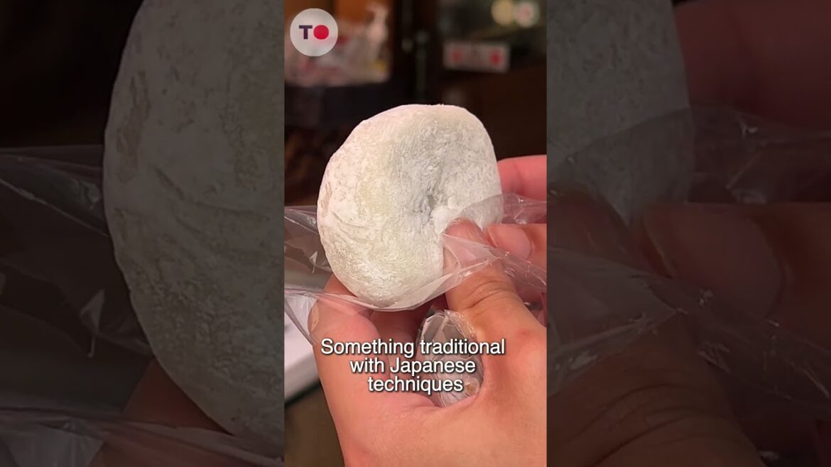 Sugamo's Gastronomic Delights: A Must-See Street Food Tour