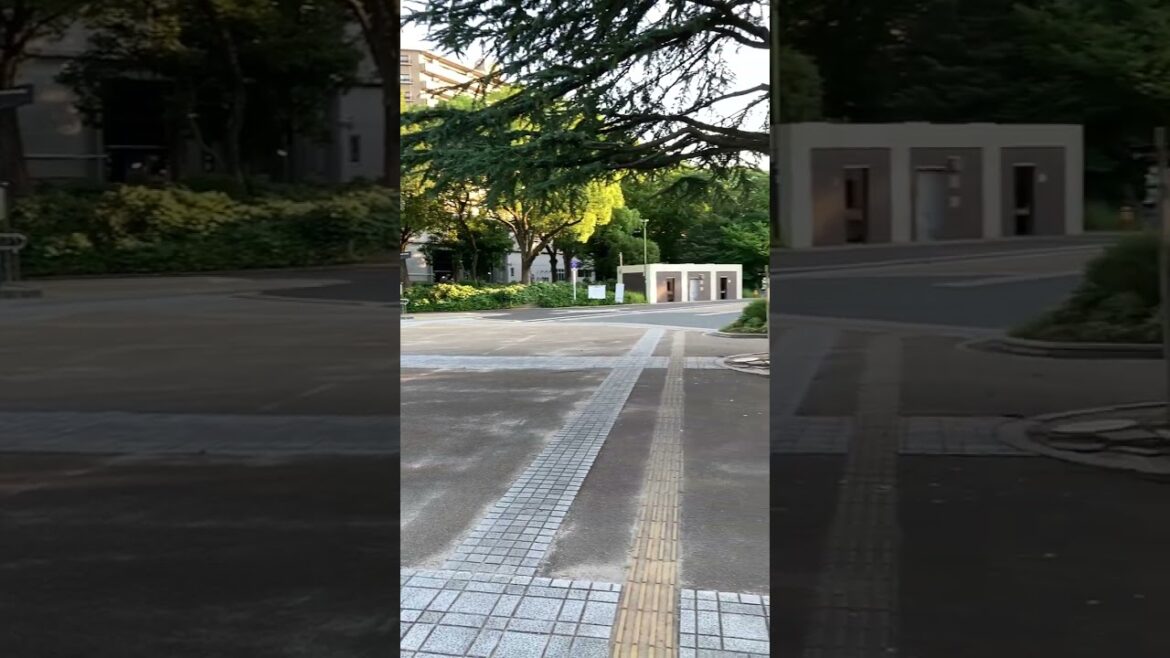 鶴舞公園の様子♪正面広場♪今朝2024.8.10、午前6時。熱くなる前にお散歩です。まだ人は少なめです。NHK朝ドラ「虎に翼」のロケ地。良い一日になりますように。 #鶴舞公園 #鶴舞駅 鶴舞公園の様子♪正面広場♪今朝2024.8.10、午前6時。熱くなる前にお散歩です。まだ人は少なめです。NHK朝ドラ「虎に翼」のロケ地。良い一日になりますように。 #鶴舞公園 #鶴舞駅