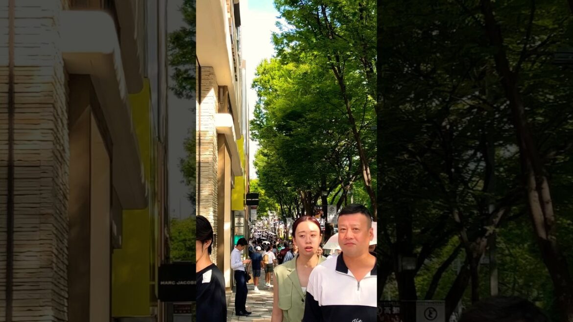 Shibuya City Tour || TOKYO JAPAN || #japan #travel #walkthrough #shibuya #shorts