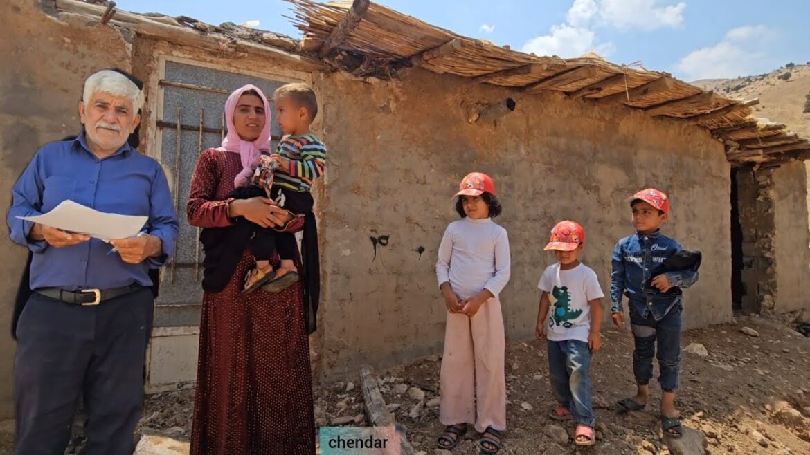 Rural life:Mehtab's success in buying land with the help of the operator