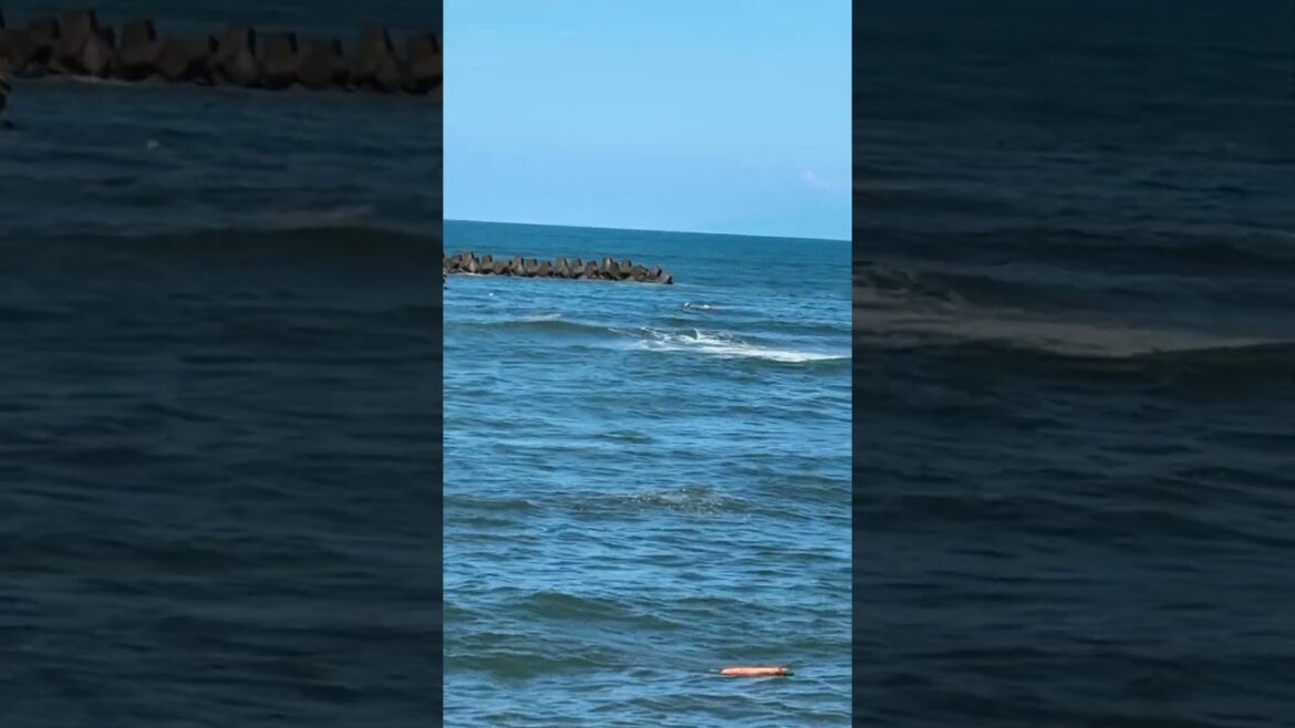 令和6年8月11日小樽市銭函　沖合50メートルで水難事故の模様