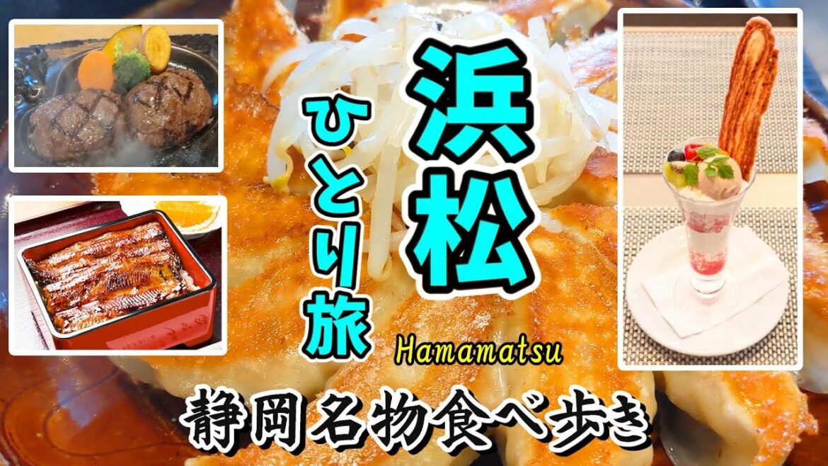 【浜松 ひとり旅】浜松で美味しいものを食べまくりご当地旅/うなぎパイファクトリー/さわやか炭火焼ハンバーグ/浜松餃子/夏休み/ 【浜松 ひとり旅】浜松で美味しいものを食べまくりご当地旅/うなぎパイファクトリー/さわやか炭火焼ハンバーグ/浜松餃子/夏休み/