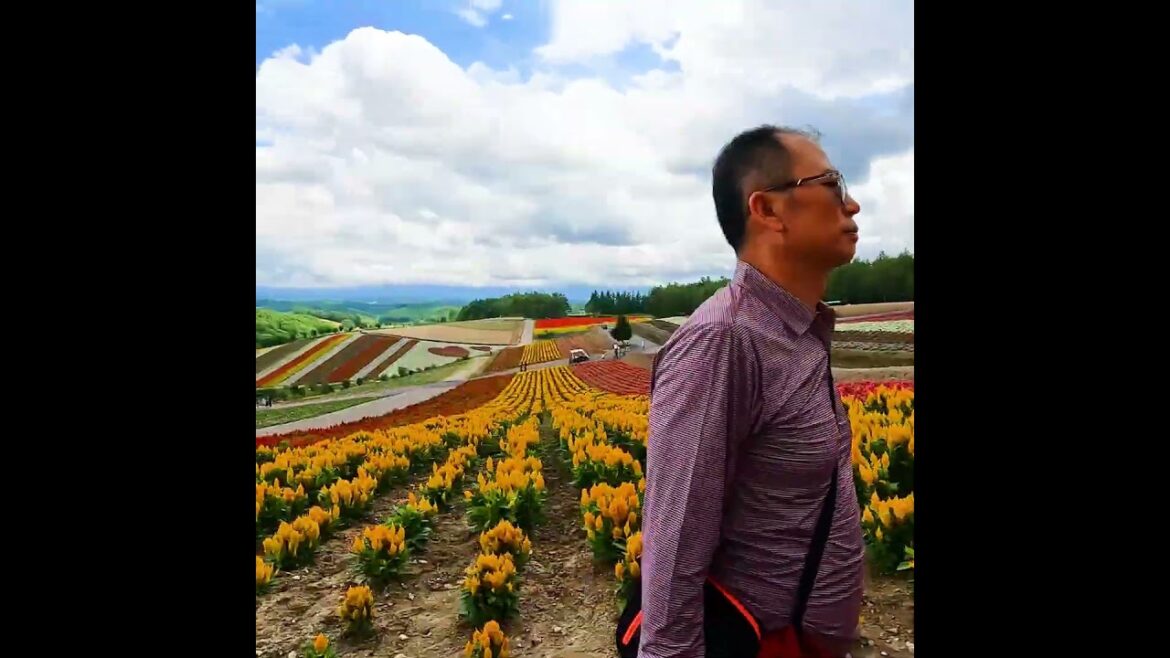 Shikisai no Oka in Biei Hokkaido Japan 일본 북해도 비에이 사계의 언덕