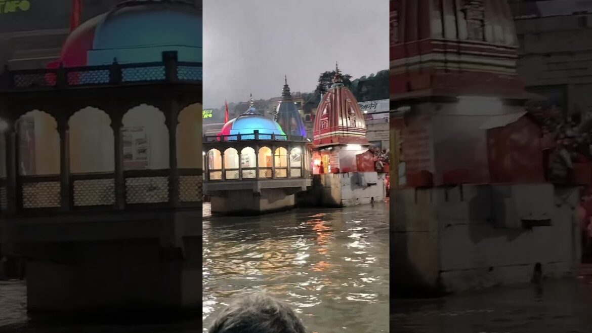 अदभुत गंगा आरती हर की पौड़ी हरिद्वार में || #song #ganga #shorts #shortvideo #shortsvideo #haridwar अदभुत गंगा आरती हर की पौड़ी हरिद्वार में || #song #ganga #shorts #shortvideo #shortsvideo #haridwar