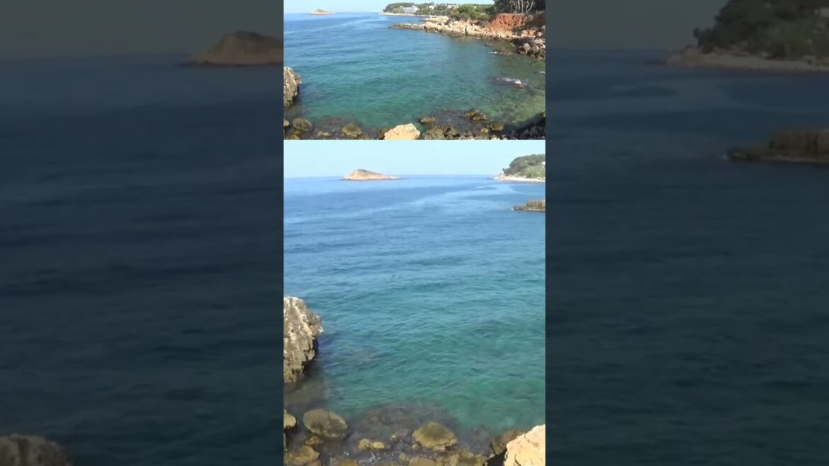 Une crique au bord de la mer, accompagné des cigales