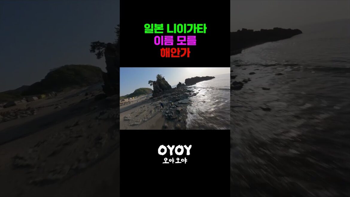 니가타 해안을 날아보자