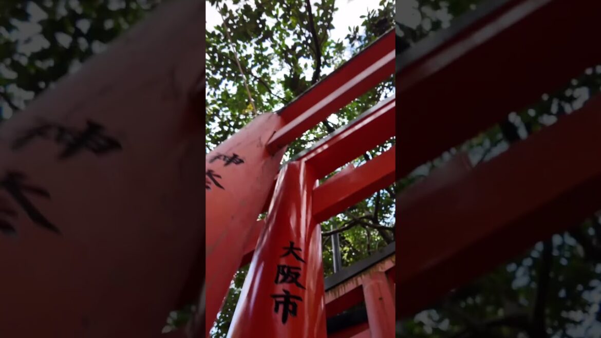 Best Kyoto Temples moments 🔥