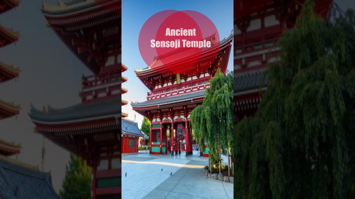 5 Most Visit Place in Asakusa, Tokyo #asakusa #tokyo #japan #travel #shopping