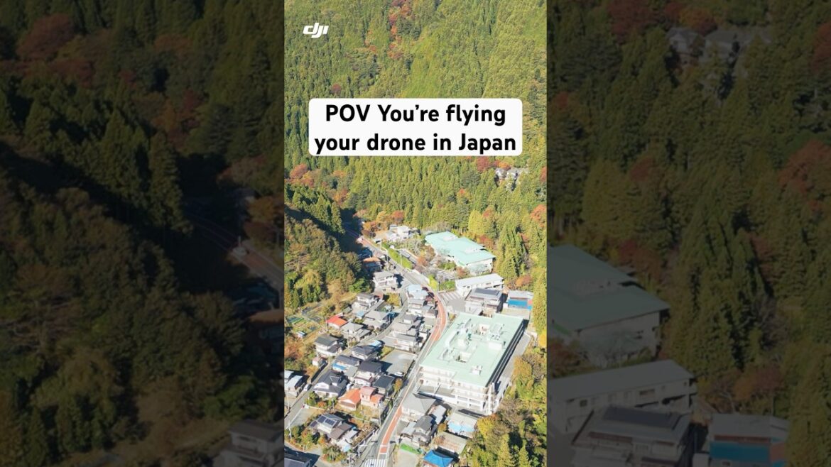 POV You’re flying your drone in Japan 🇯🇵 – Part 8 #shorts #drone POV You’re flying your drone in Japan 🇯🇵 - Part 8 #shorts #drone