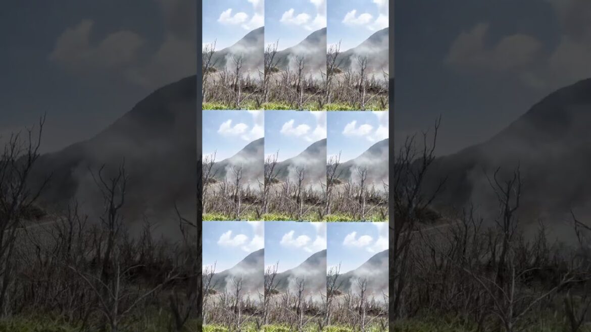 The Day That Changed Everything Forever