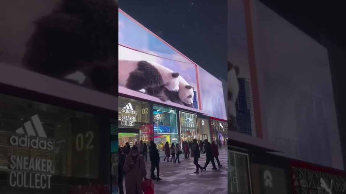 3D BillBoard Awesome #shorts#virals#videos 3D BillBoard Awesome #shorts#virals#videos