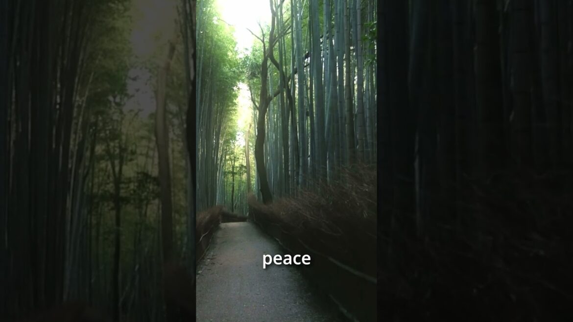 Hidden Places to Visit In Kyoto