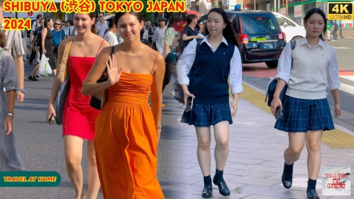 4k hdr Japan travel 2024 | Walk in Shibuya (渋谷) Tokyo Japan |  Relaxing Natural City ambience