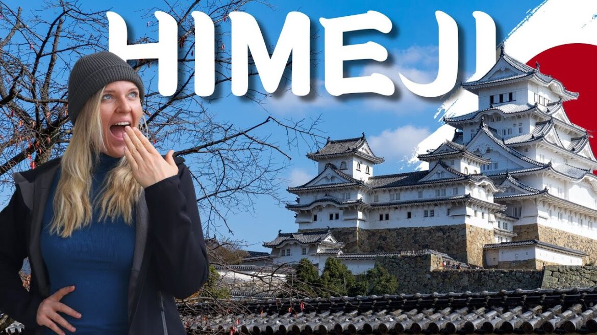 We visited Japan’s MOST FAMOUS castle π―π΅ (only one hour from Osaka) We visited Japan's MOST FAMOUS castle π―π΅ (only one hour from Osaka)