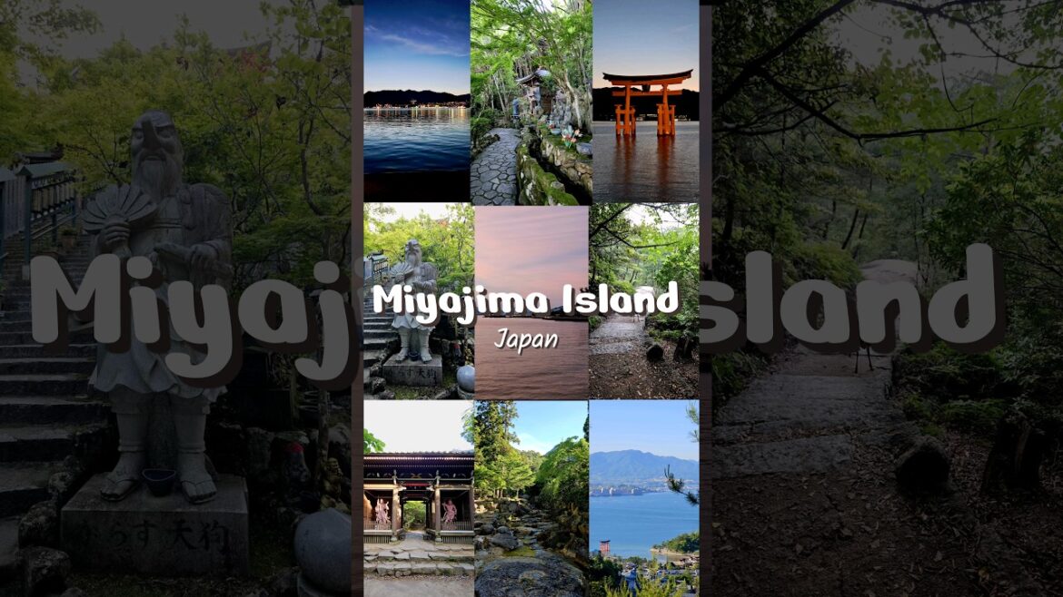 Miyajima Island: Island vibes and sacred sights #Miyajima #Japan  #travelgram #hiroshima #travelreel