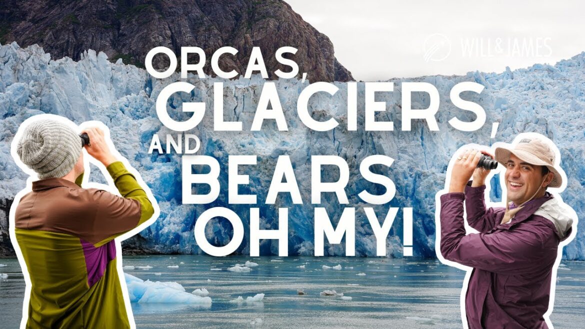 Orcas and Glaciers and Bears, OH MY!