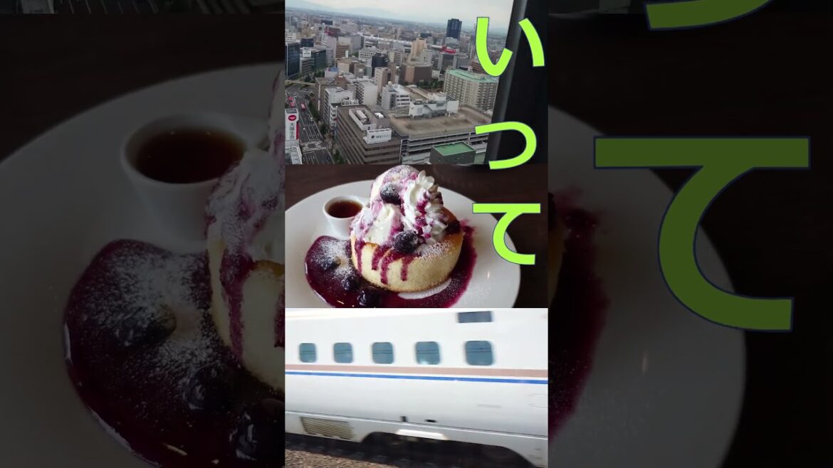 朝一番で新潟へ  #新潟 #新幹線 #おじ旅