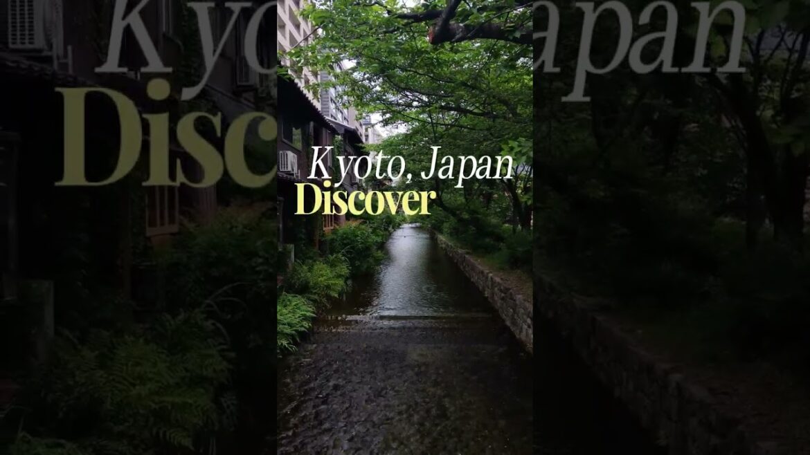 Kyoto: The Most Beautiful City On Earth #viral #shorts #Japan #Kyoto #travel #2024  #views #trend