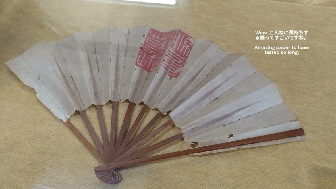 Wakayama Castle Part 5/6 #japan #castles #travel #japanese #和歌山県