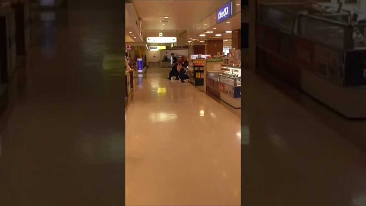 北海道　函館空港　函館市　車中泊で北海道一周 の旅　＃shorts ＃Japan ＃Hokkaido ＃北海道　＃函館