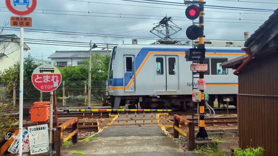 Wakayama To Rinku Town