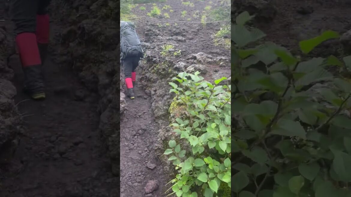 Fuji Mount Climbing 2400M #shorts#virals#videos