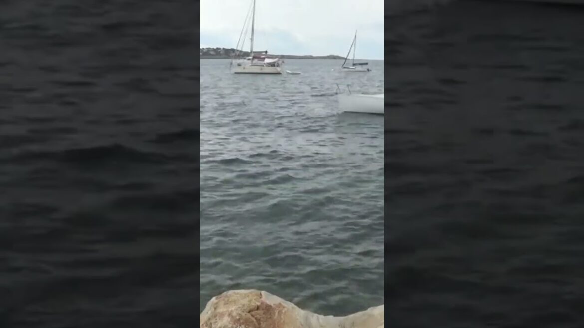 Sur les rochers au bord de la mer Sur les rochers au bord de la mer