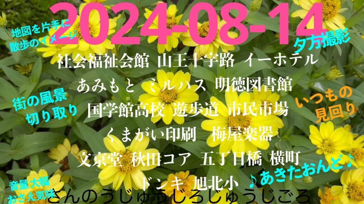 2024-08-14さんのうじゅうじろじゅうじごろ