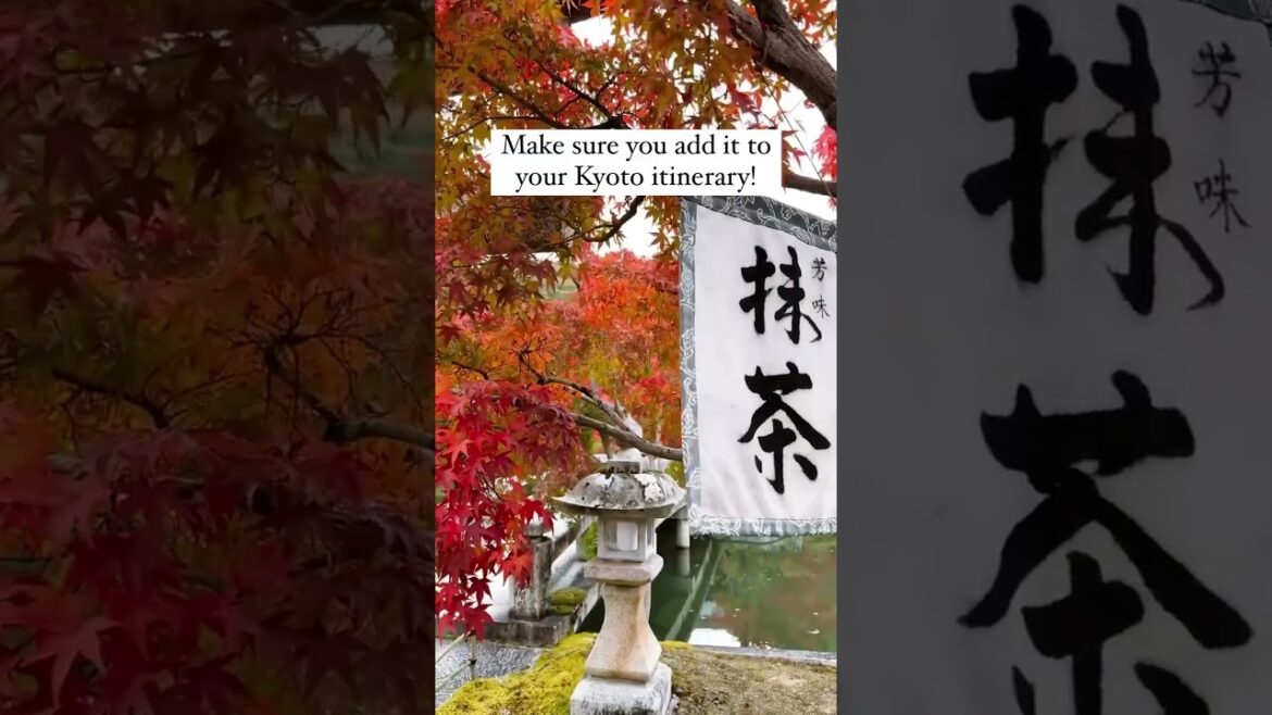 This Kyoto Temple is a MUST SEE in Autumn