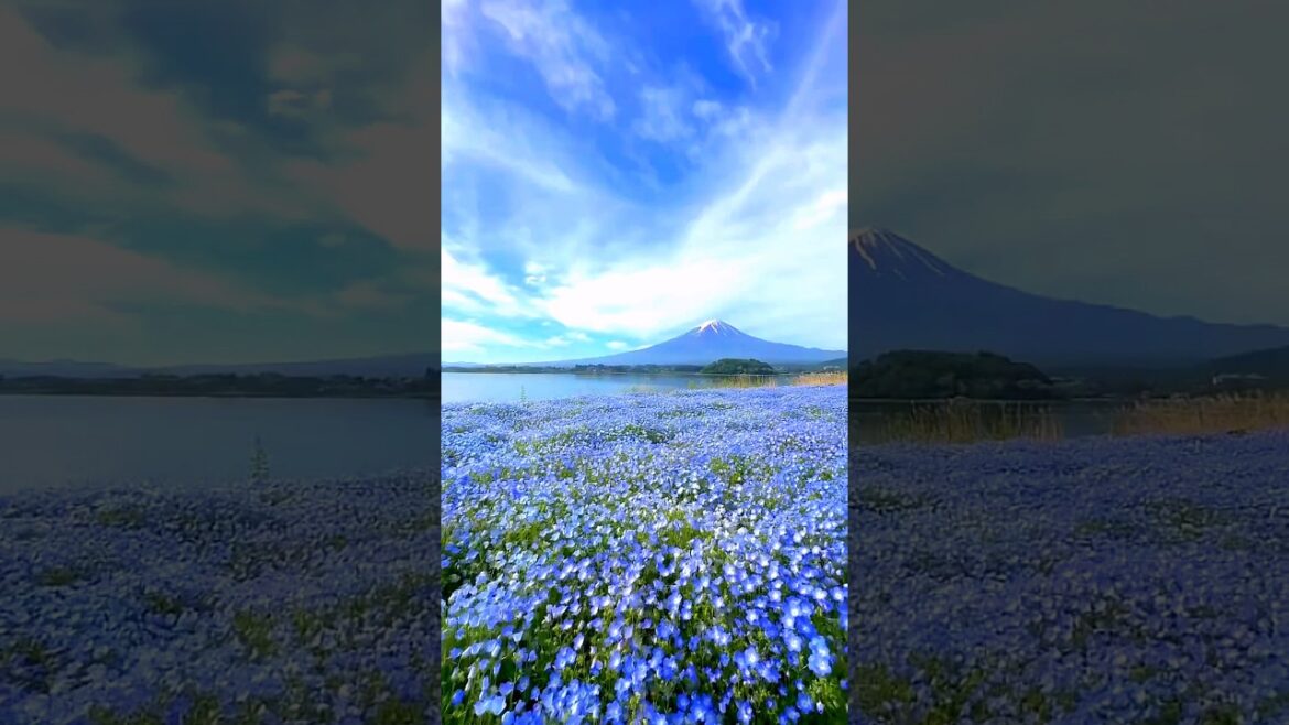 place in Japan 🇯🇵 that dont feel real! #shortsfeed #shorts #japan #mountfuji #youtubeshorts