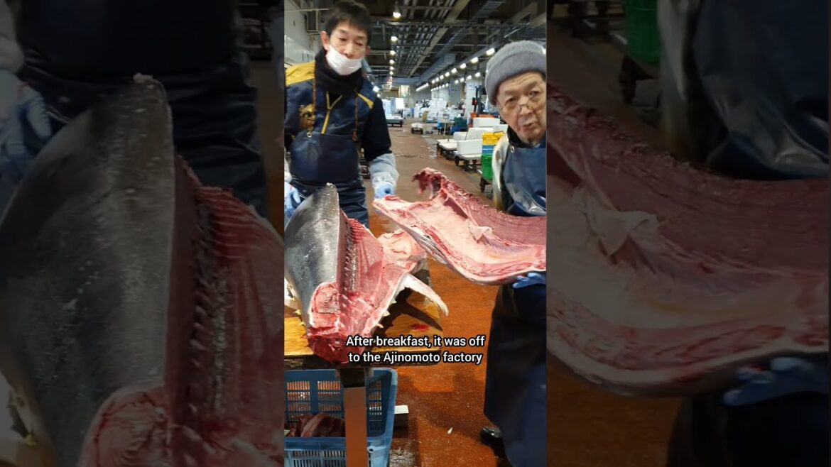 Forget Tsukiji fish market and do this private tour instead | Yokohama, Japan Forget Tsukiji fish market and do this private tour instead | Yokohama, Japan