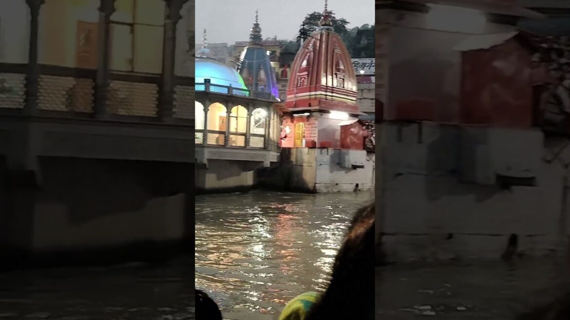 अदभुत गंगा आरती हर की पौड़ी हरिद्वार में || #song #ganga #shorts #shortvideo #shortsvideo #haridwar अदभुत गंगा आरती हर की पौड़ी हरिद्वार में || #song #ganga #shorts #shortvideo #shortsvideo #haridwar