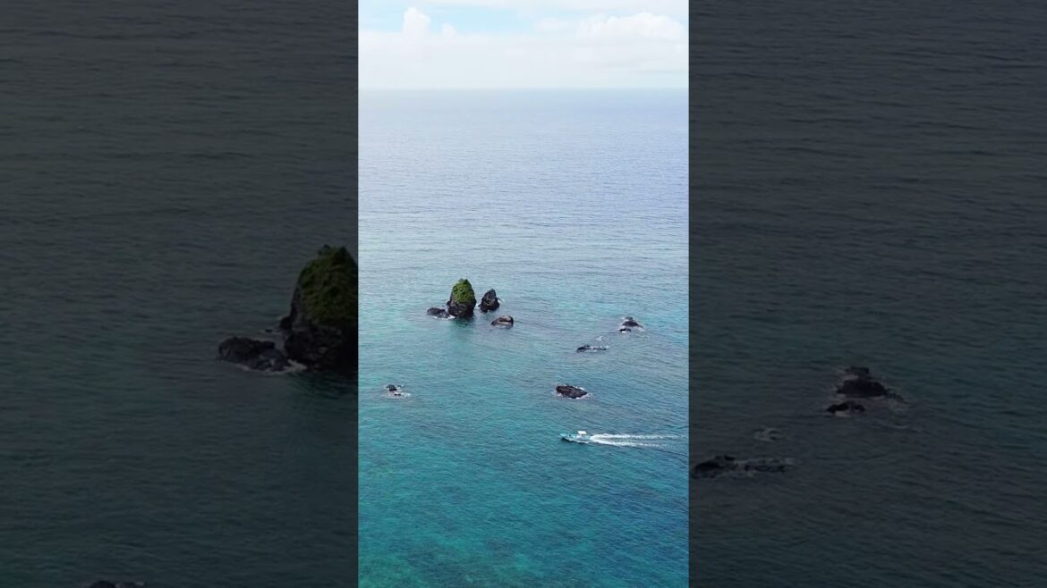 OKINAWATRIP 2020 #okinawa#沖縄旅行