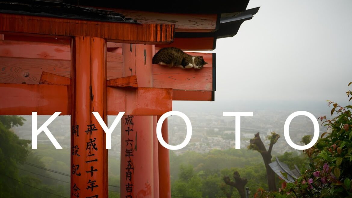 One Day in Kyoto
