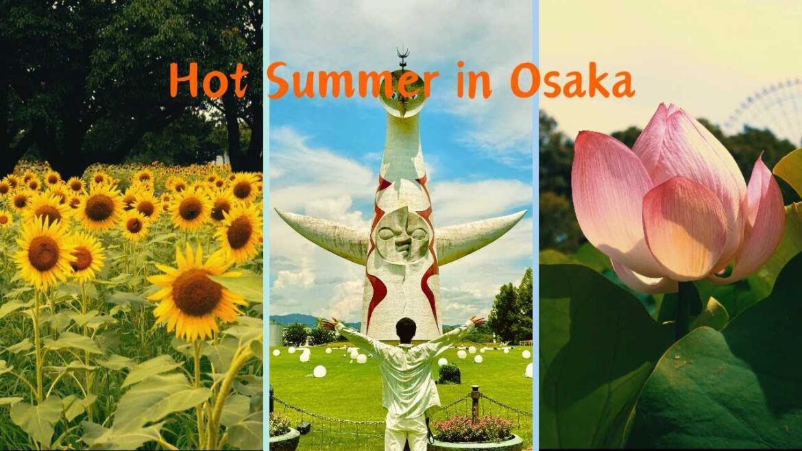 Expo’70 Commemorative Park in Osaka | HOT SUMMER 2024 Expo'70 Commemorative Park in Osaka | HOT SUMMER 2024