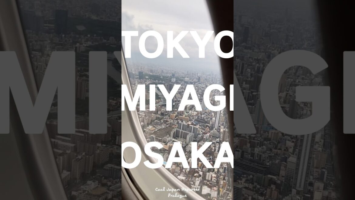 일본에서 보낸 영화 같은 8박 9일