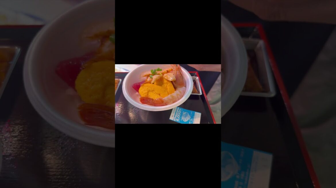 [도호쿠 여름 여행  Vlog] 여행을 결정하게 된 이유 - 아오모리 (네푸타 마츠리, 오이라세계류, 히로사키) [【東北夏旅行】旅を決めた理由-青森（ねぷた祭、おいらせ渓流、弘前）]