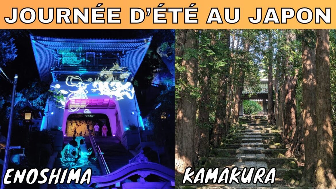 🇯🇵 VIVEZ L’ÉTÉ AU JAPON à KAMAKURA et ENOSHIMA : cigales, temples, nature et illuminations ! 🇯🇵 VIVEZ L'ÉTÉ AU JAPON à KAMAKURA et ENOSHIMA : cigales, temples, nature et illuminations !