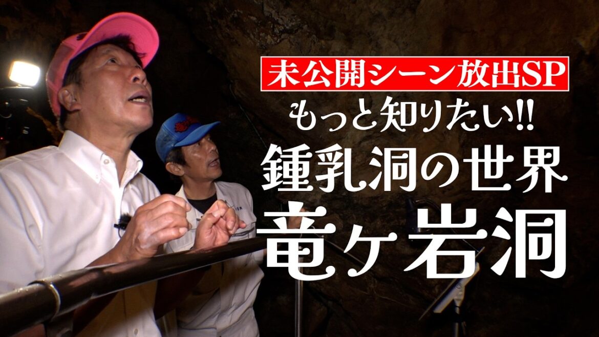 もっと知りたい竜ヶ岩洞!鍾乳洞の世界をもっと楽しみたい人向けの動画【未公開シーンSP】 もっと知りたい竜ヶ岩洞!鍾乳洞の世界をもっと楽しみたい人向けの動画【未公開シーンSP】