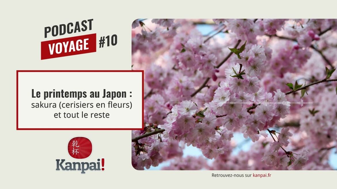 [VOYAGE #10] Le printemps au Japon : sakura (cerisiers en fleurs) et tout le reste