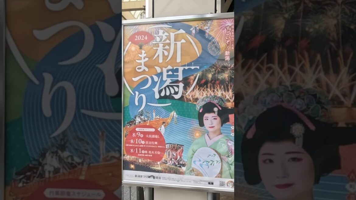 住吉行列『新潟まつり2024』day2 #shorts #新潟 #niigata #japan #vlog #祭り