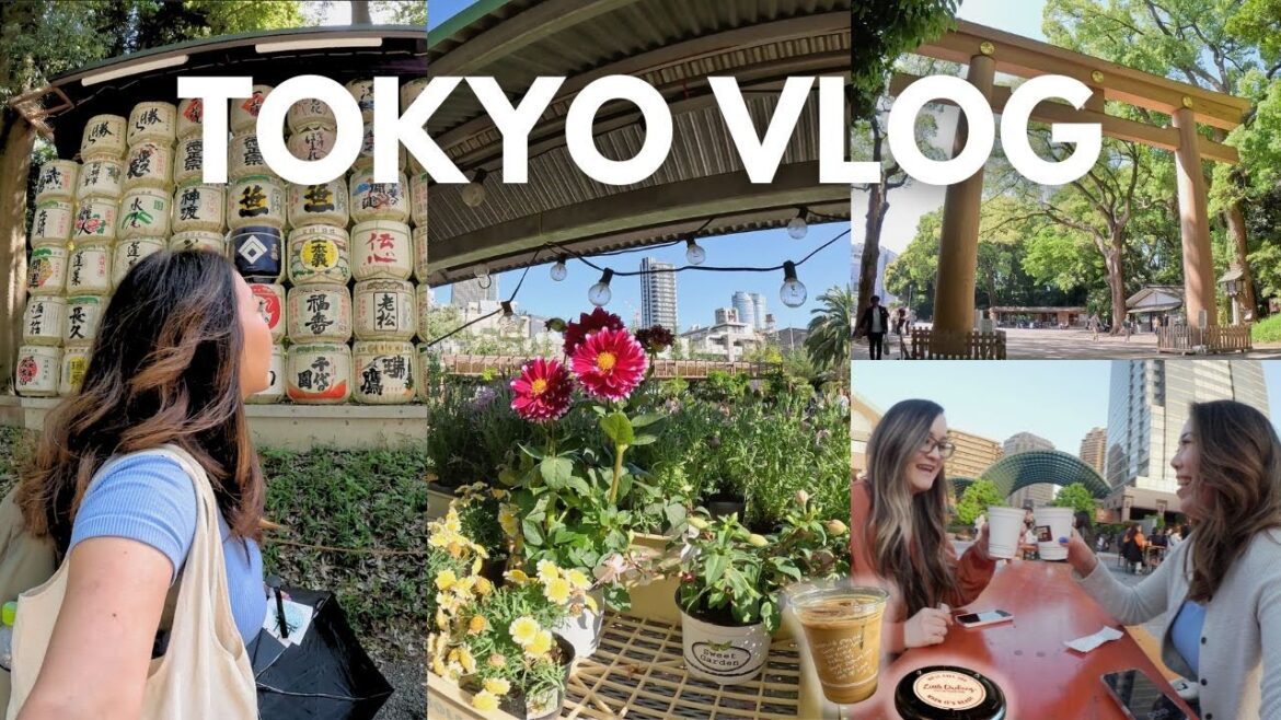 Spend a day exploring Tokyo with me! | Meiji Shrine, coffee shops, shopping, chill night in Tokyo 🇯🇵 Spend a day exploring Tokyo with me! | Meiji Shrine, coffee shops, shopping, chill night in Tokyo 🇯🇵
